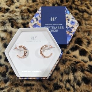 Rose Gold Hoop Earrings